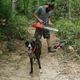 Image for article titled Come Help Us Maintain The Trails, You Dual Sport Riding A-Holes